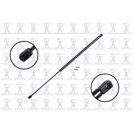 Fcs Struts Lift Support Hatch, 84817 84817